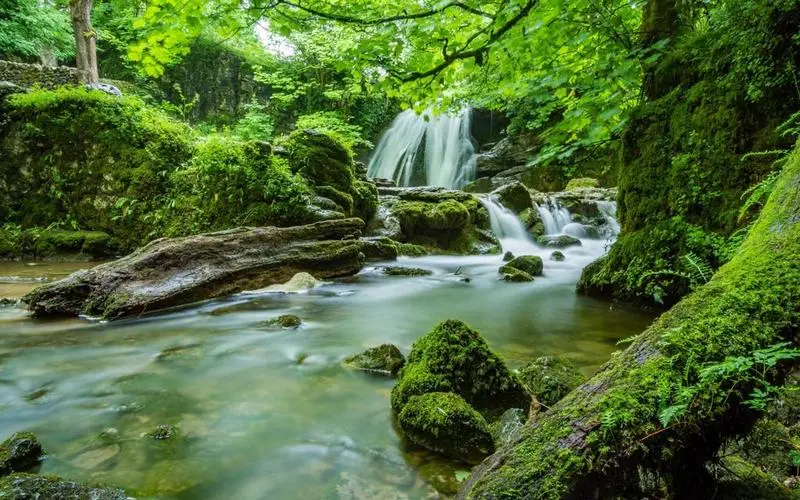稳定性可靠性高精度